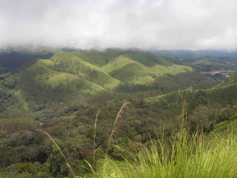 Parc national de Periyar : guide complet pour découvrir la nature sauvage du Kerala
